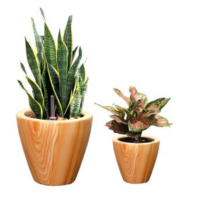 2-Pack 10 in. Light Wood Plastic Self-watering Planter Pot